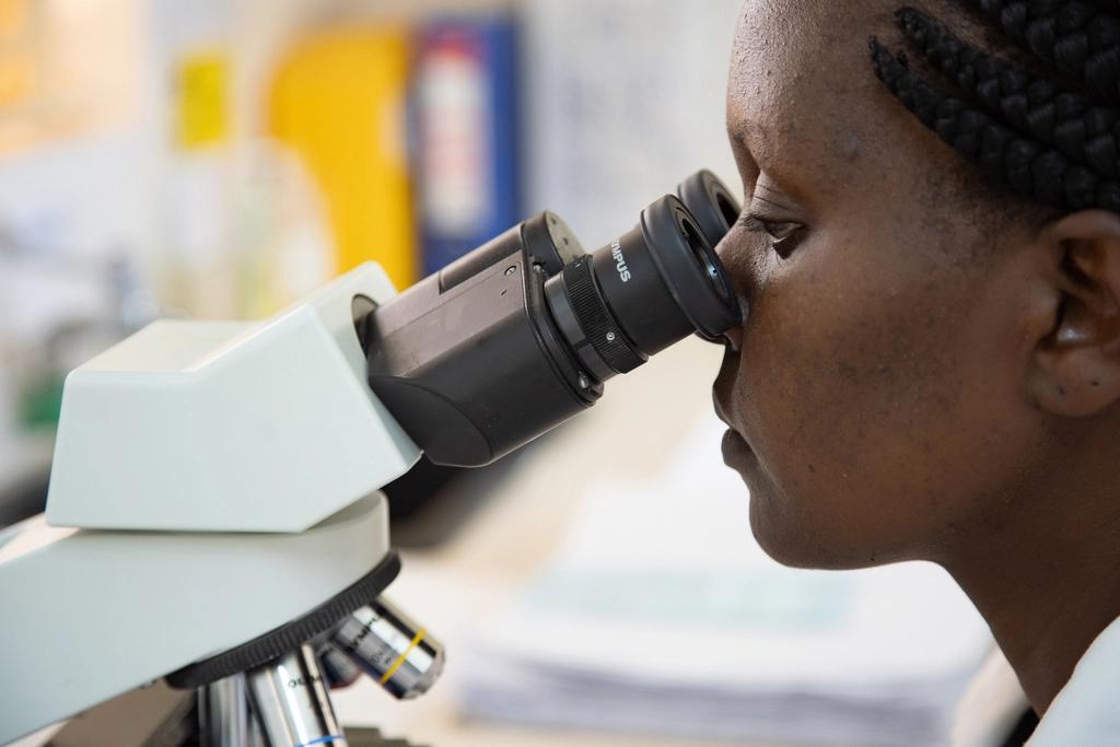 A technician at a laboratory microscope
